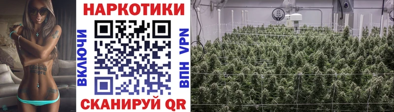 Какие есть наркотики Инсар ГАШИШ  A PVP  кракен маркетплейс  Каннабис  МЕФ 