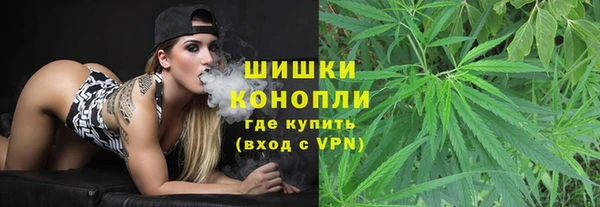 a pvp Аркадак